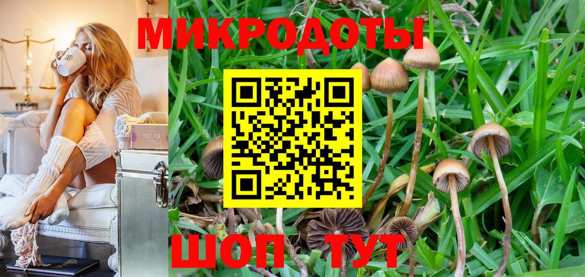 Псилоцибиновые грибы мухоморы Карпинск